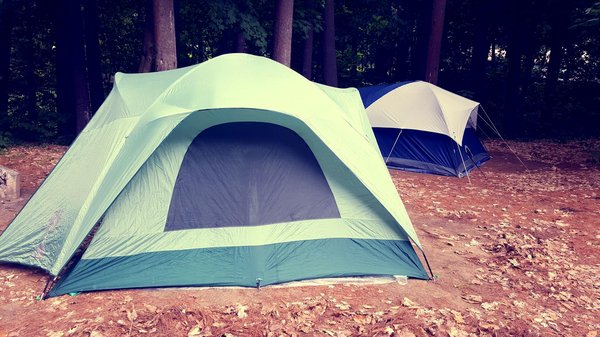 Comment organiser un camping pour une expédition de randonnée dans les Alpes suisses?